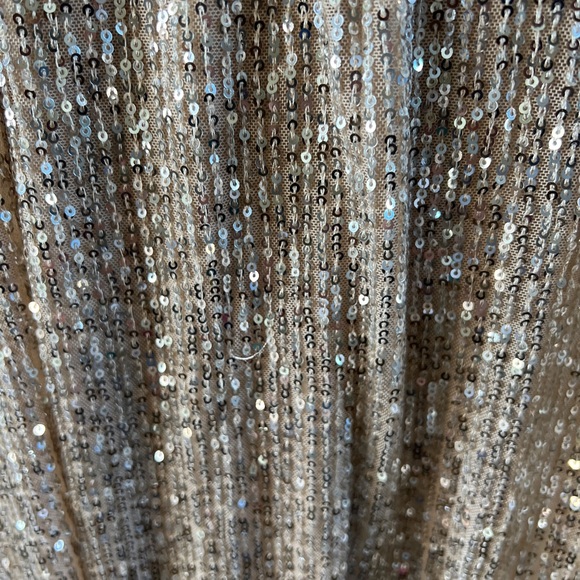 Windsor Champaign sequin dress. Sz Medium   Worn once - Picture 4 of 7